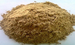 Bone Meal powder and granules